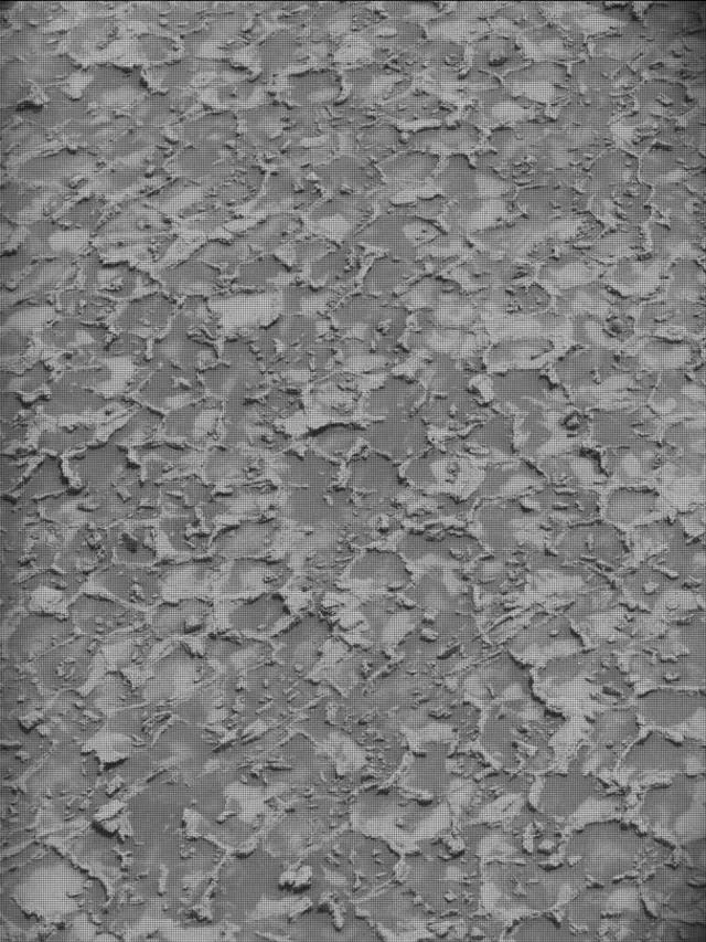 Sol 4932: Mast Camera (Mastcam)