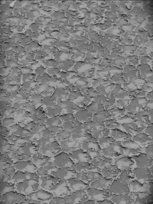 Sol 4932: Mast Camera (Mastcam)