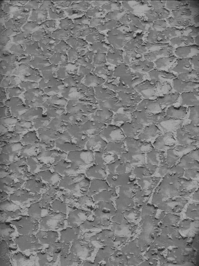 Sol 4932: Mast Camera (Mastcam)