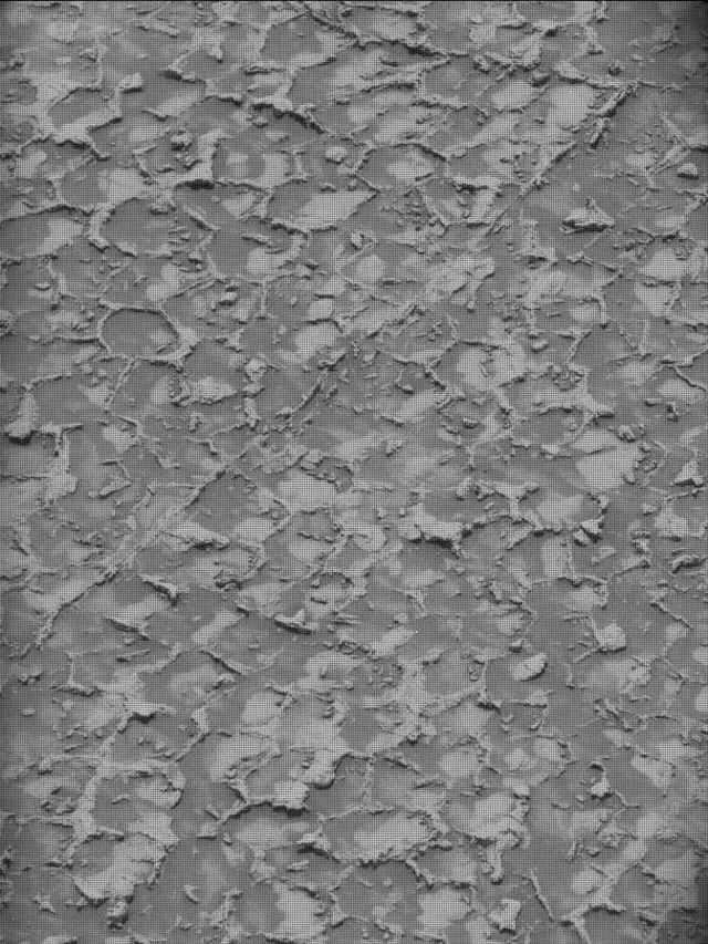Sol 4932: Mast Camera (Mastcam)