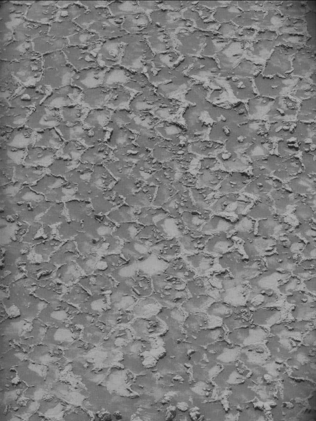 Sol 4932: Mast Camera (Mastcam)