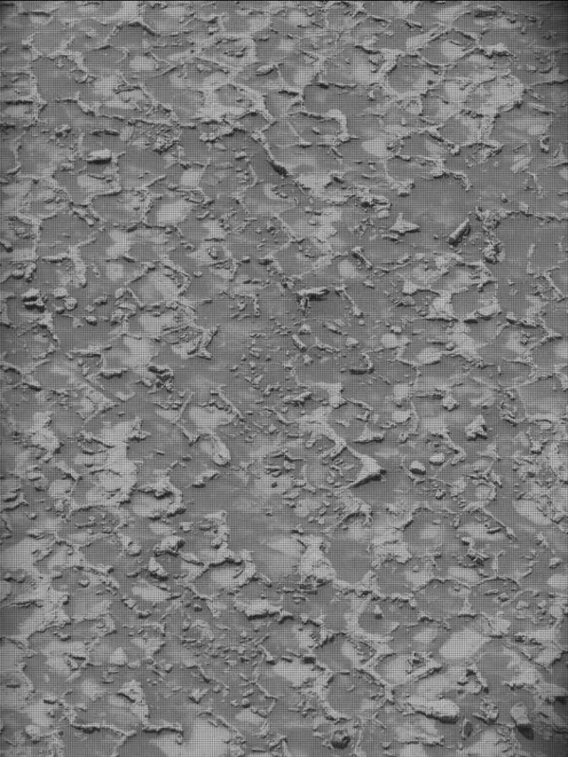 Sol 4932: Mast Camera (Mastcam)