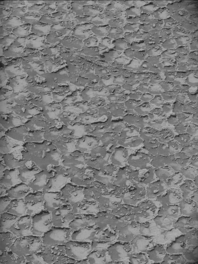 Sol 4932: Mast Camera (Mastcam)