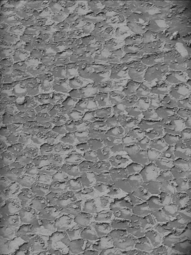 Sol 4932: Mast Camera (Mastcam)