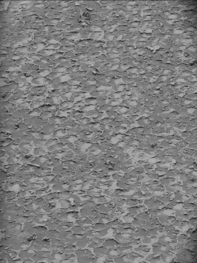 Sol 4932: Mast Camera (Mastcam)