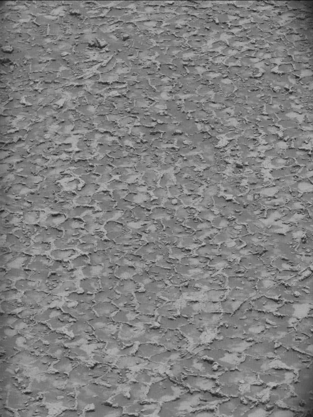Sol 4932: Mast Camera (Mastcam)