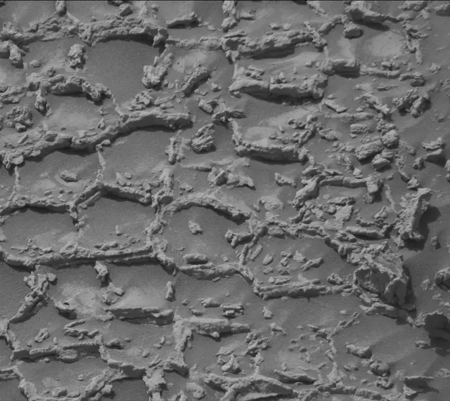Sol 4932: Mast Camera (Mastcam)