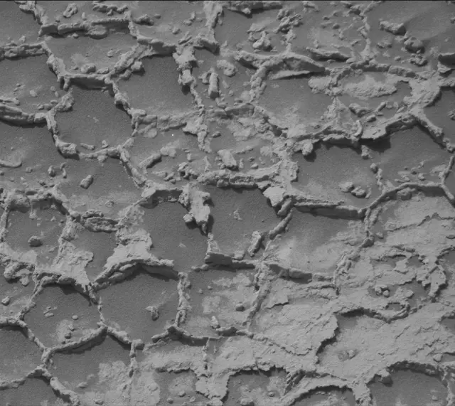 Sol 4932: Mast Camera (Mastcam)