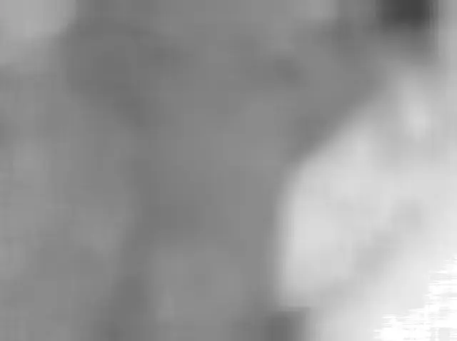 Sol 4932: Mars Hand Lens Imager (MAHLI)
