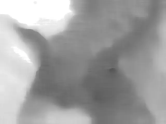 Sol 4932: Mars Hand Lens Imager (MAHLI)