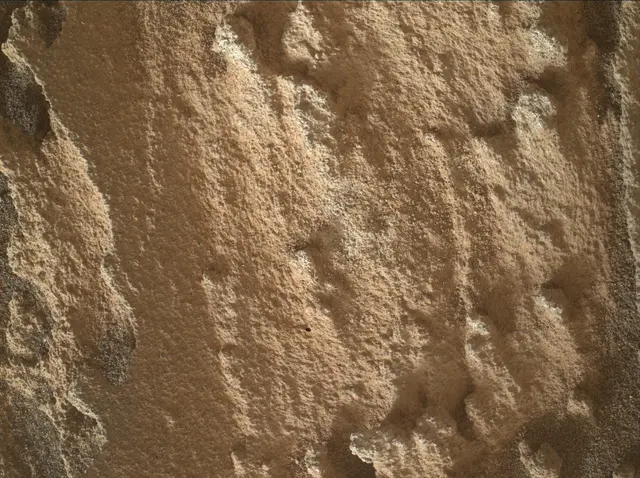 Sol 4983: Mars Hand Lens Imager (MAHLI)