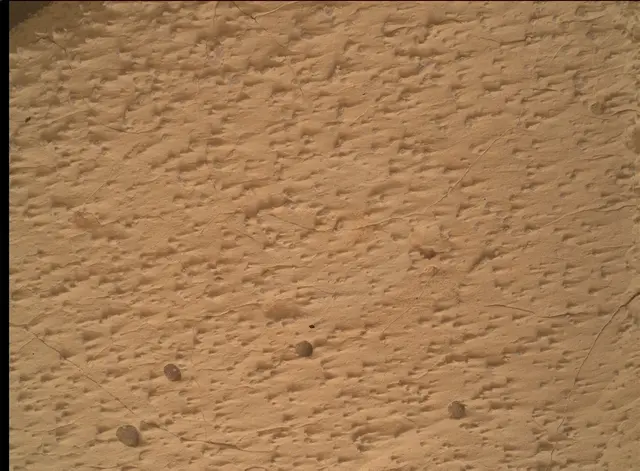 Sol 4995: Mars Hand Lens Imager (MAHLI)