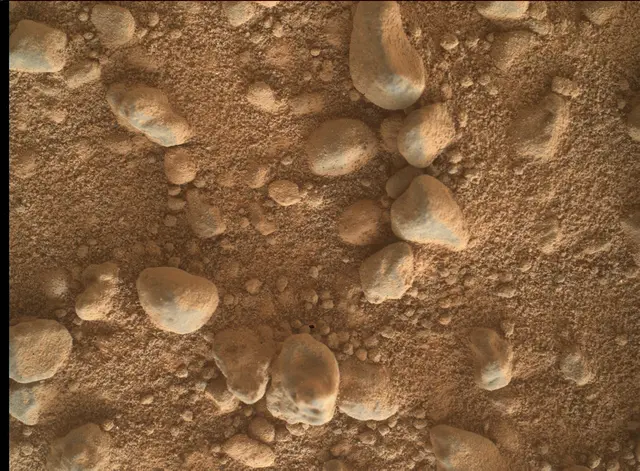 Sol 4999: Mars Hand Lens Imager (MAHLI)