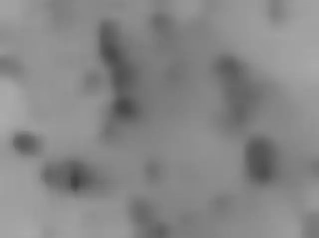 Sol 5000: Mars Hand Lens Imager (MAHLI)