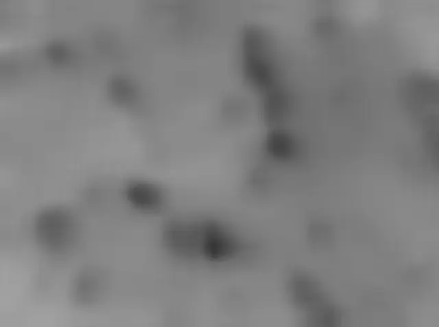 Sol 5000: Mars Hand Lens Imager (MAHLI)