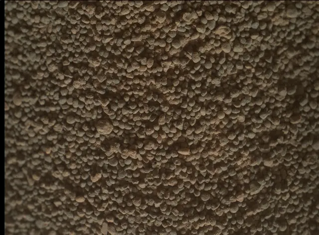 Sol 5003: Mars Hand Lens Imager (MAHLI)