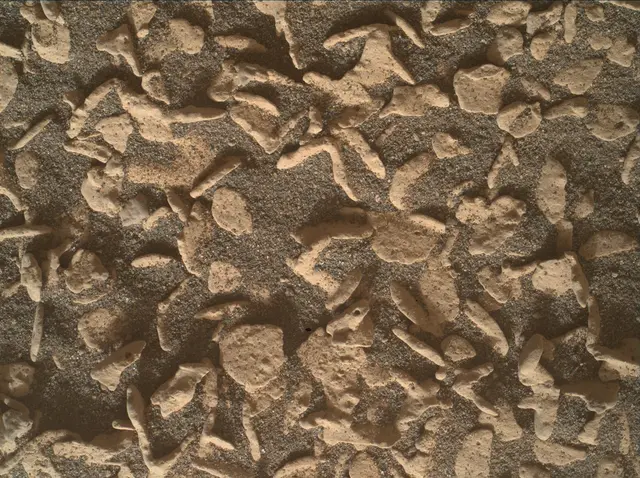 Sol 5014: Mars Hand Lens Imager (MAHLI)