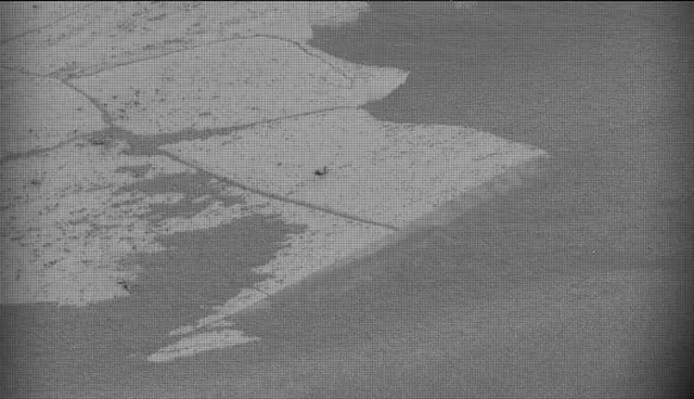 Sol 5025: Mast Camera (Mastcam)