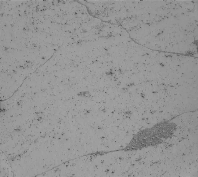 Sol 5025: Mast Camera (Mastcam)